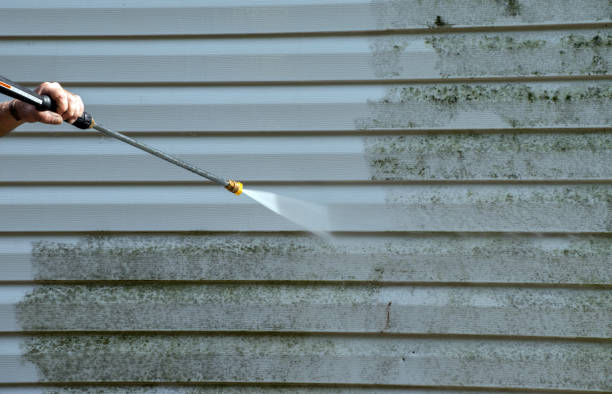 Best Patio and Deck Pressure Washing  in Arcola, VA