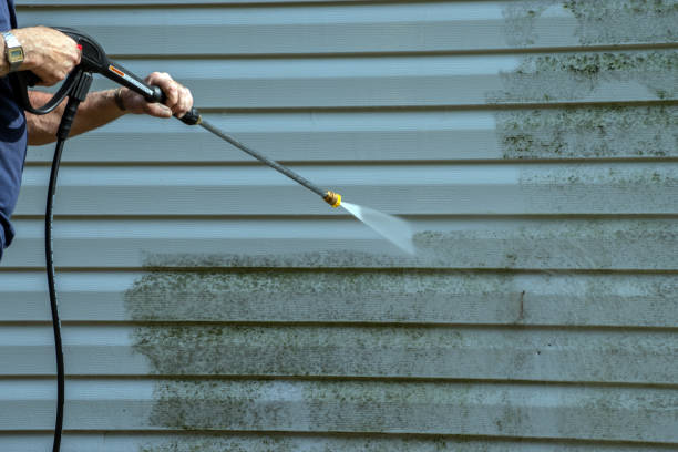 Best Dumpster Area Cleaning  in Arcola, VA